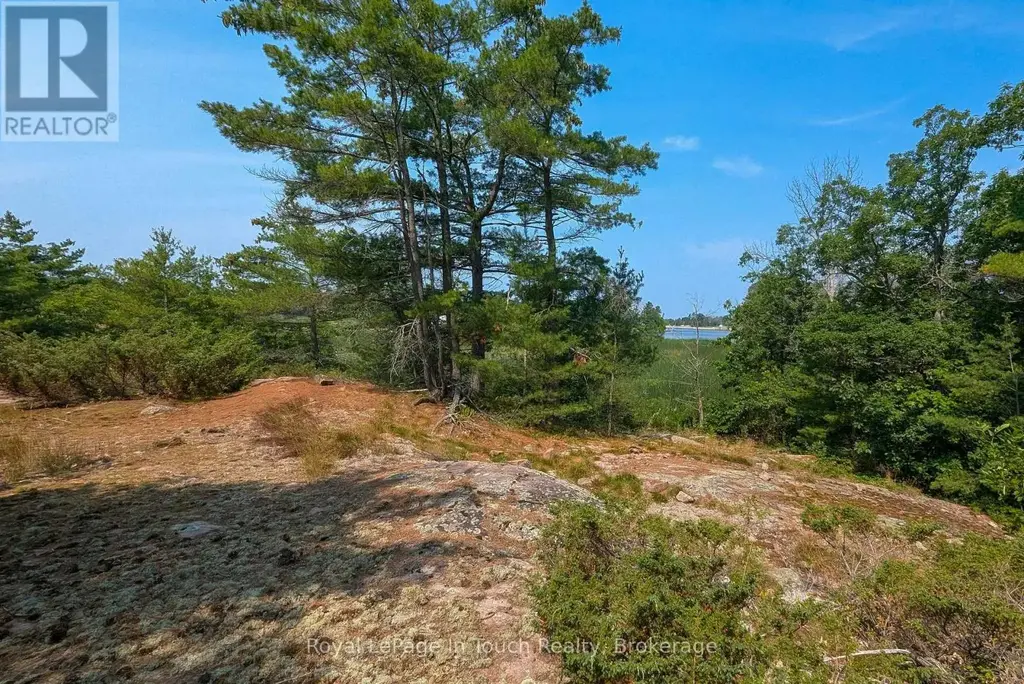 180 Prisque Road, Georgian Bay (Baxter)